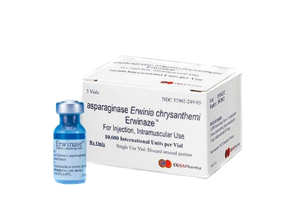 It is used to treat acute lymphoblastic leukaemia (ALL) and lymphoblastic lymphoma (LBL) who have developed hypersensitivity to E. coli-derived asparaginase.