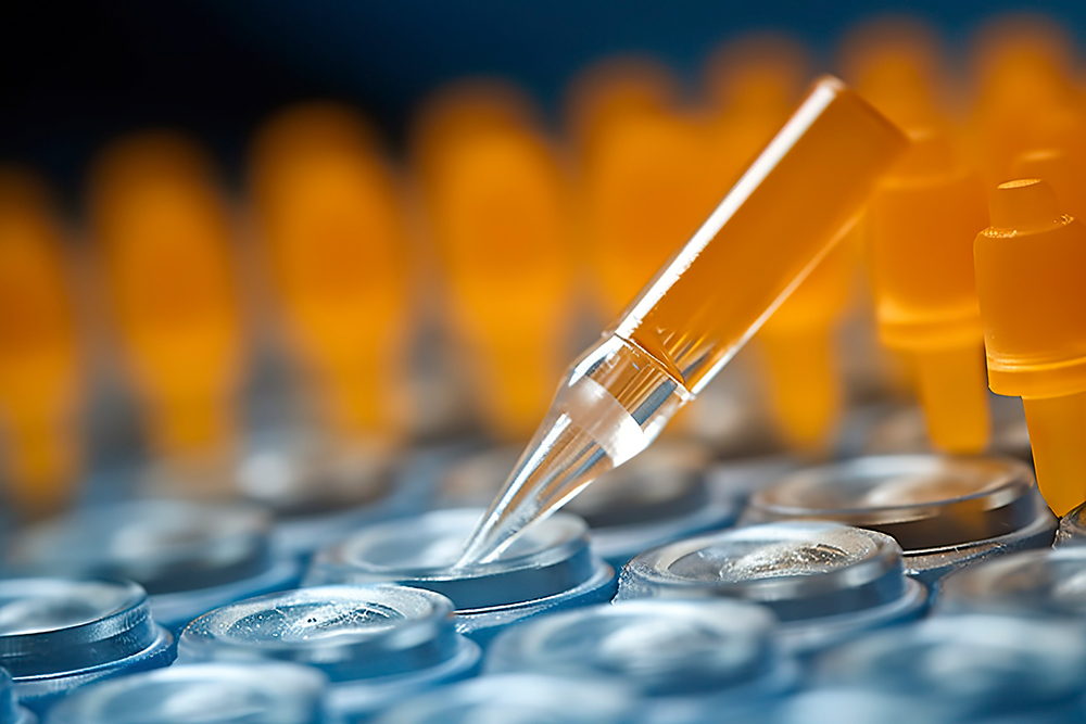 Reference Listed Drugs
